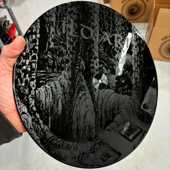 ILDJARN Forest Poetry 2LP BLACK [VINYL 12